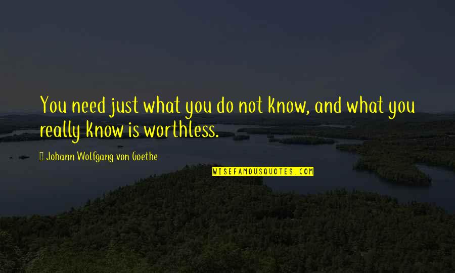 You're Worthless Quotes By Johann Wolfgang Von Goethe: You need just what you do not know,