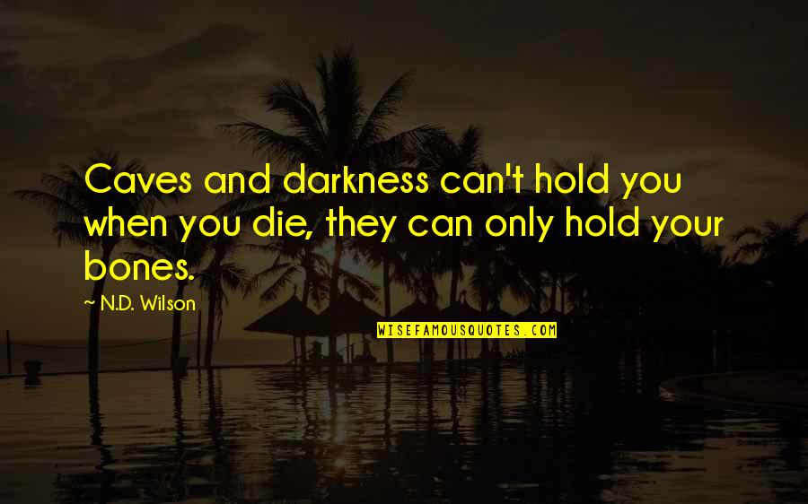 Your'n Quotes By N.D. Wilson: Caves and darkness can't hold you when you