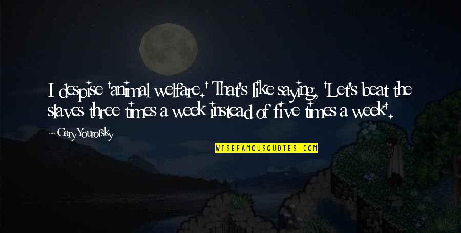 Yourofsky's Quotes By Gary Yourofsky: I despise 'animal welfare.' That's like saying, 'Let's