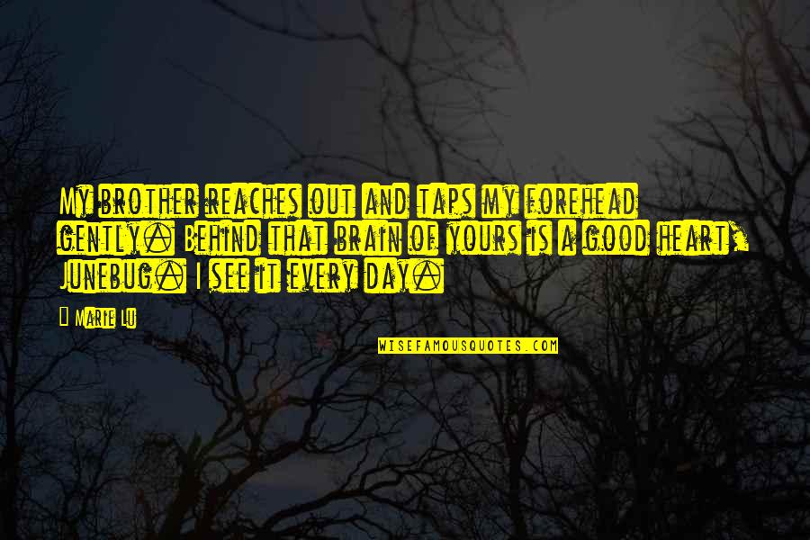 Yours My Quotes By Marie Lu: My brother reaches out and taps my forehead Yours My Quotes By Marie Lu: My brother reaches out and taps my forehead