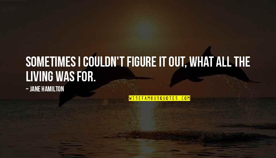 Yours Truly Quotes By Jane Hamilton: Sometimes I couldn't figure it out, what all Yours Truly Quotes By Jane Hamilton: Sometimes I couldn't figure it out, what all