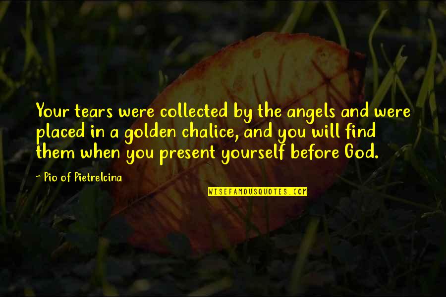 Yourself And God Quotes By Pio Of Pietrelcina: Your tears were collected by the angels and