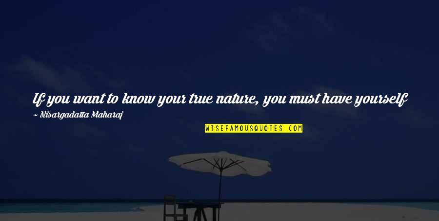Yourself And Nature Quotes By Nisargadatta Maharaj: If you want to know your true nature, Yourself And Nature Quotes By Nisargadatta Maharaj: If you want to know your true nature,
