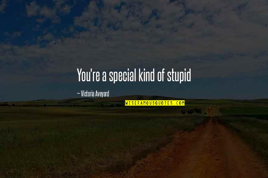 Youssef Sawmah Quotes By Victoria Aveyard: You're a special kind of stupid