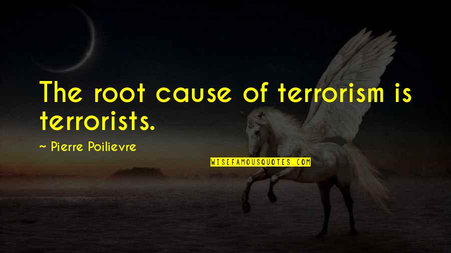 Youth Activism Quotes By Pierre Poilievre: The root cause of terrorism is terrorists.