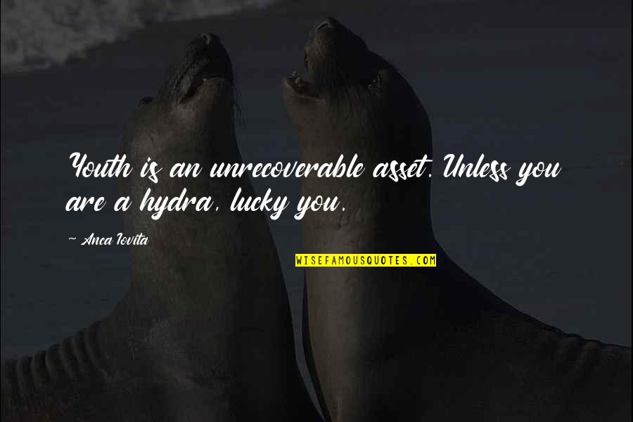 Youth And Aging Quotes By Anca Iovita: Youth is an unrecoverable asset. Unless you are