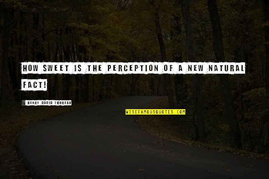 Youth And Innocence Quotes By Henry David Thoreau: How sweet is the perception of a new