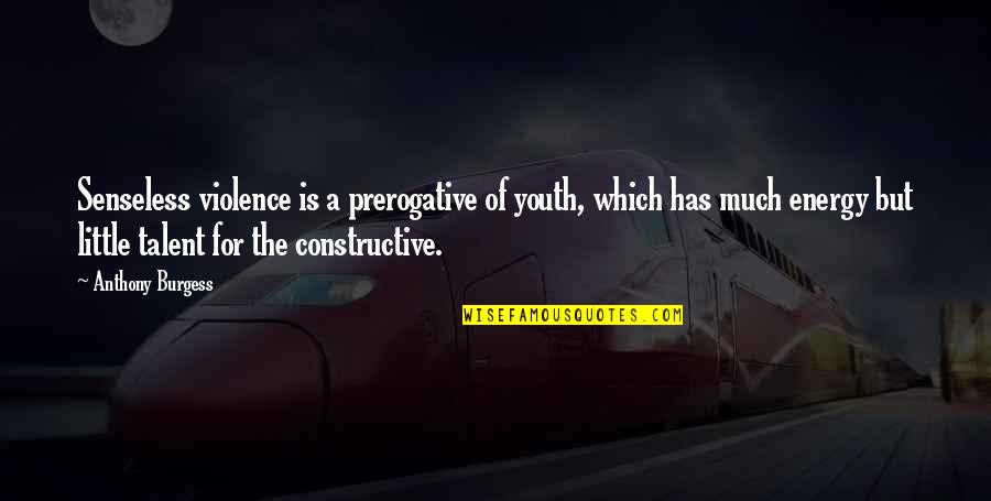 Youth And Violence Quotes By Anthony Burgess: Senseless violence is a prerogative of youth, which