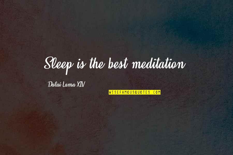 Youth Foolishness Quotes By Dalai Lama XIV: Sleep is the best meditation.