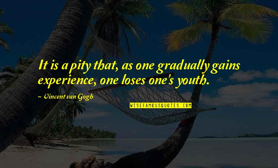 Youth Over Experience Quotes By Vincent Van Gogh: It is a pity that, as one gradually
