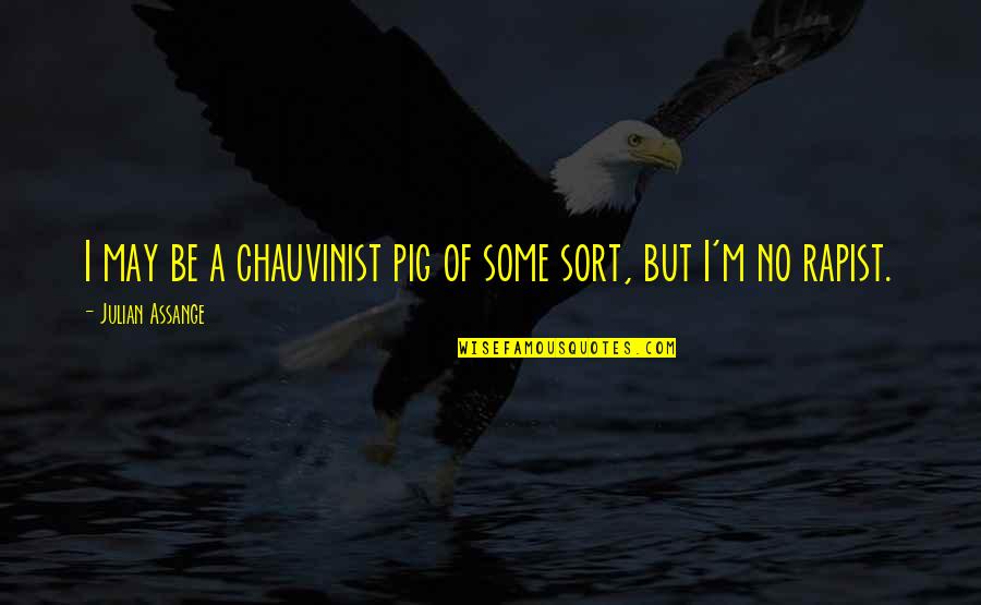 Youth Passing Quotes By Julian Assange: I may be a chauvinist pig of some Youth Passing Quotes By Julian Assange: I may be a chauvinist pig of some