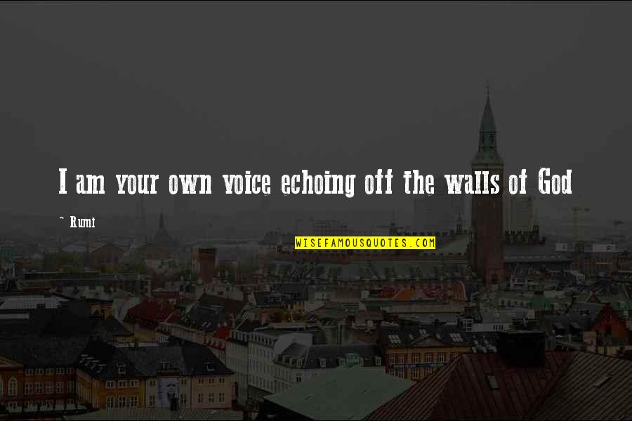 Youth Power By Swami Vivekananda Quotes By Rumi: I am your own voice echoing off the