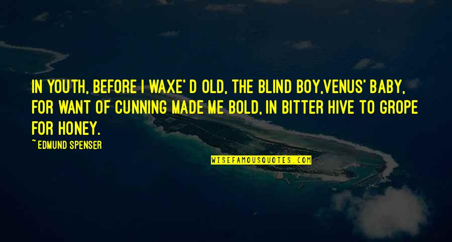 Youth That Made Quotes By Edmund Spenser: In youth, before I waxe' d old, The