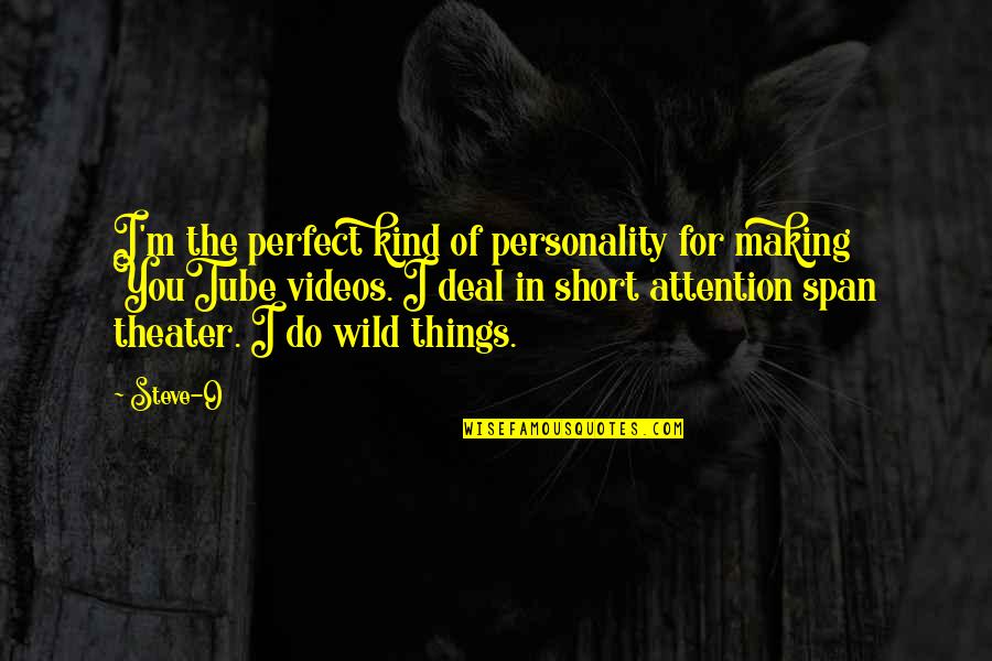 Youtube Videos Quotes By Steve-O: I'm the perfect kind of personality for making