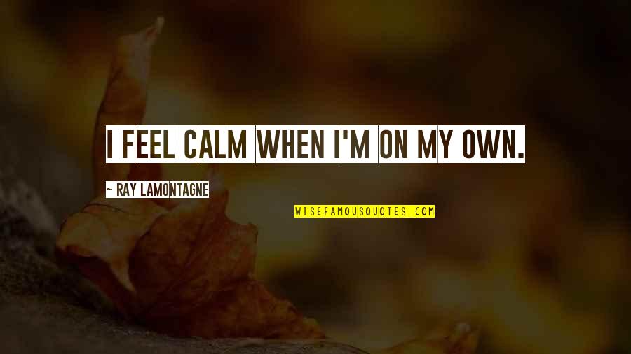 Youtwitface Eric Koston Quotes By Ray Lamontagne: I feel calm when I'm on my own. Youtwitface Eric Koston Quotes By Ray Lamontagne: I feel calm when I'm on my own.