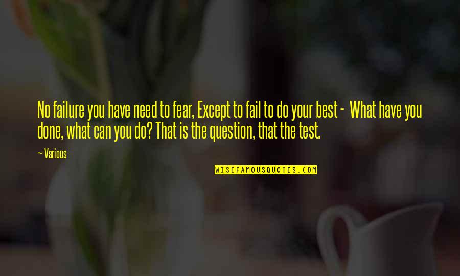 You've Done Your Best Quotes By Various: No failure you have need to fear, Except