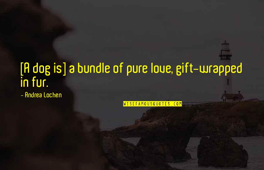 You've Got Me Wrong Quotes By Andrea Lochen: [A dog is] a bundle of pure love,