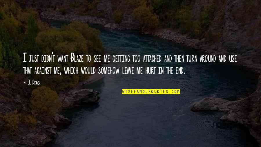 You've Hurt Me So Much Quotes By J. Peach: I just didn't want Blaze to see me You've Hurt Me So Much Quotes By J. Peach: I just didn't want Blaze to see me