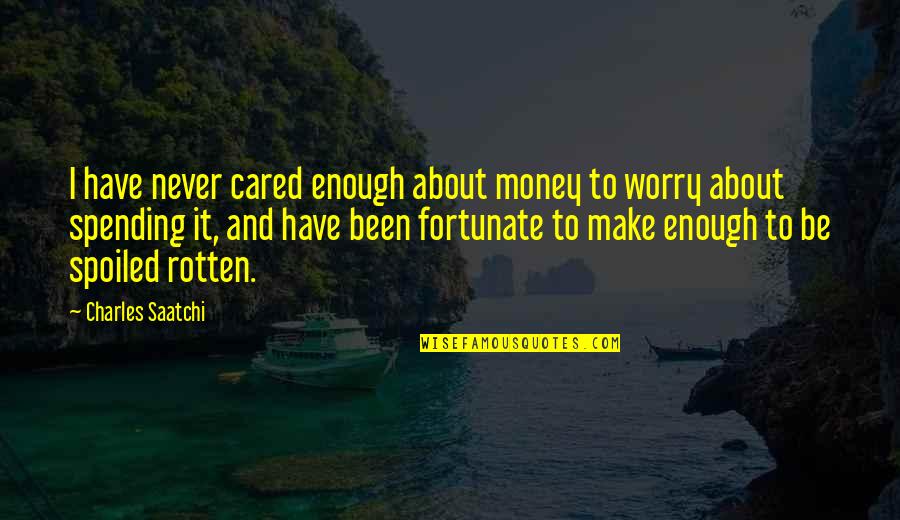 You've Never Cared Quotes By Charles Saatchi: I have never cared enough about money to