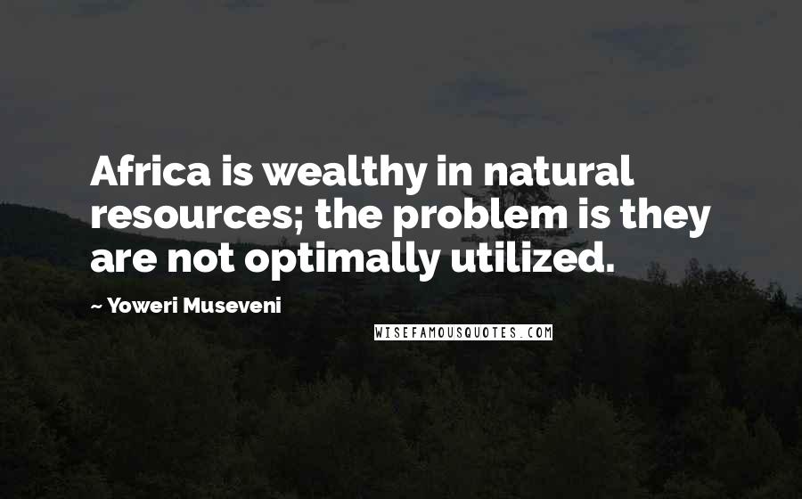 Yoweri Museveni quotes: Africa is wealthy in natural resources; the problem is they are not optimally utilized.