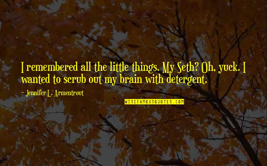 Yuck Quotes By Jennifer L. Armentrout: I remembered all the little things. My Seth?