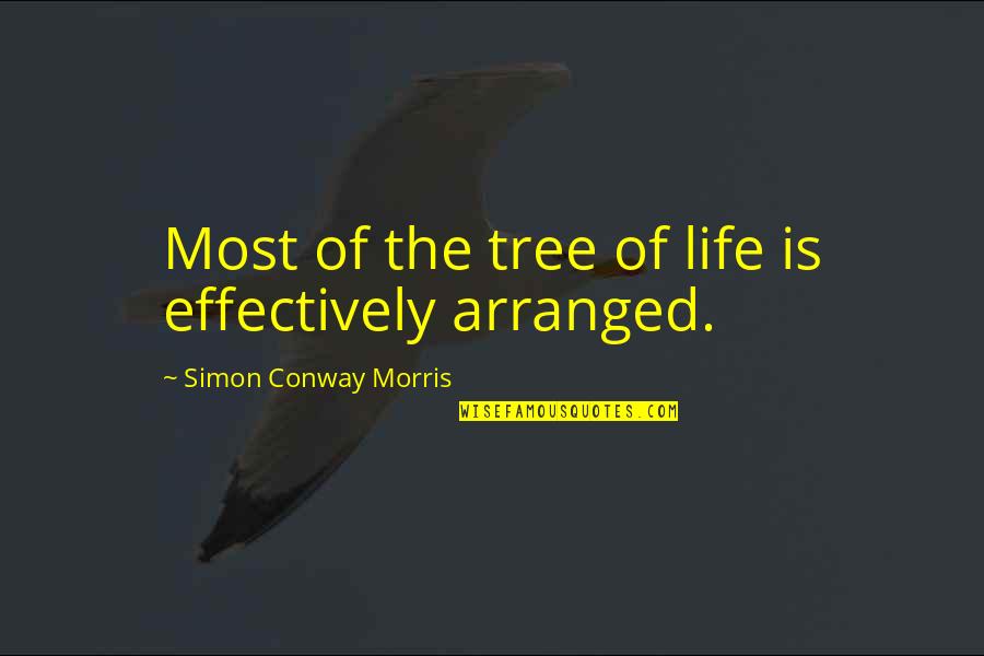 Yukali Leather Quotes By Simon Conway Morris: Most of the tree of life is effectively