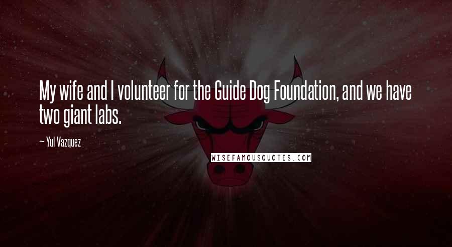 Yul Vazquez quotes: My wife and I volunteer for the Guide Dog Foundation, and we have two giant labs.