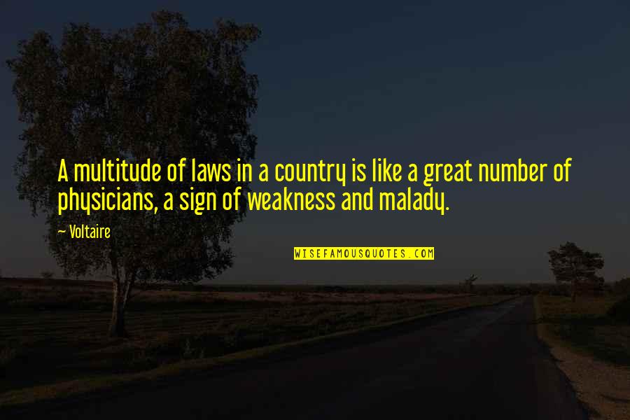 Yulikova Quotes By Voltaire: A multitude of laws in a country is