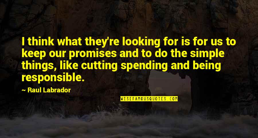 Yuliya Aug Quotes By Raul Labrador: I think what they're looking for is for