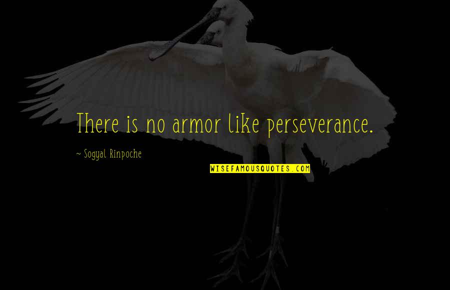 Yummy Chicken Quotes By Sogyal Rinpoche: There is no armor like perseverance.