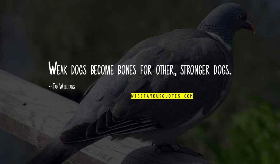 Yumyumyum Quotes By Tad Williams: Weak dogs become bones for other, stronger dogs. Yumyumyum Quotes By Tad Williams: Weak dogs become bones for other, stronger dogs.