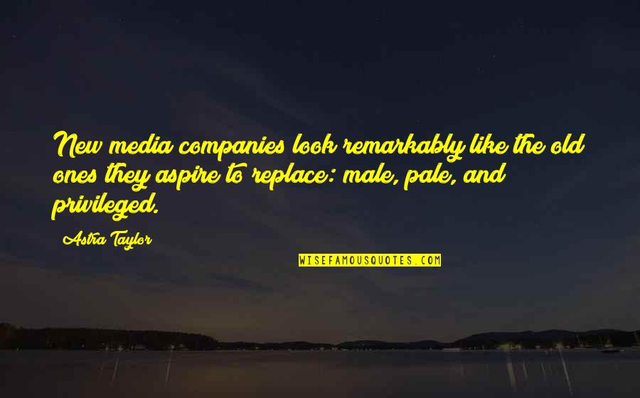 Yunan Tanrilari Quotes By Astra Taylor: New media companies look remarkably like the old Yunan Tanrilari Quotes By Astra Taylor: New media companies look remarkably like the old