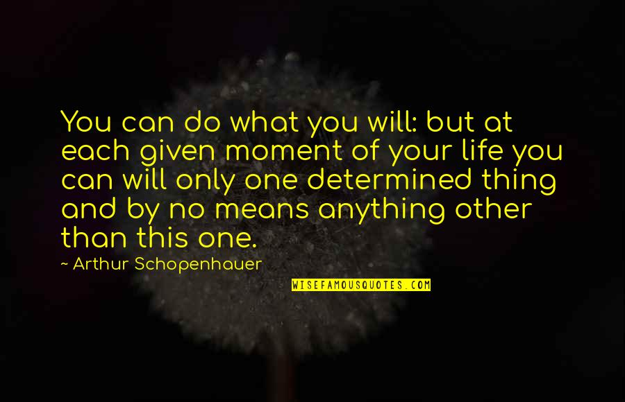 Yuriyan Quotes By Arthur Schopenhauer: You can do what you will: but at Yuriyan Quotes By Arthur Schopenhauer: You can do what you will: but at