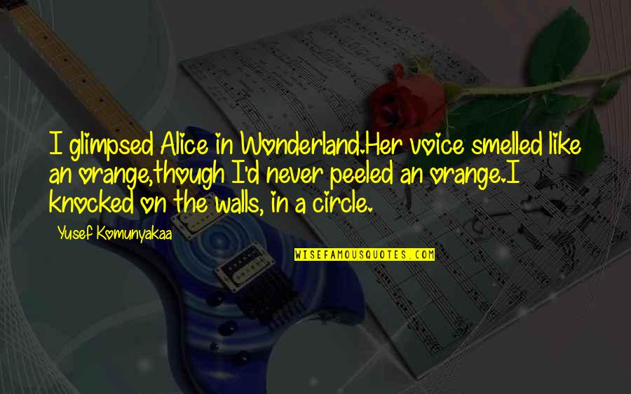 Yusef Komunyakaa Quotes By Yusef Komunyakaa: I glimpsed Alice in Wonderland.Her voice smelled like