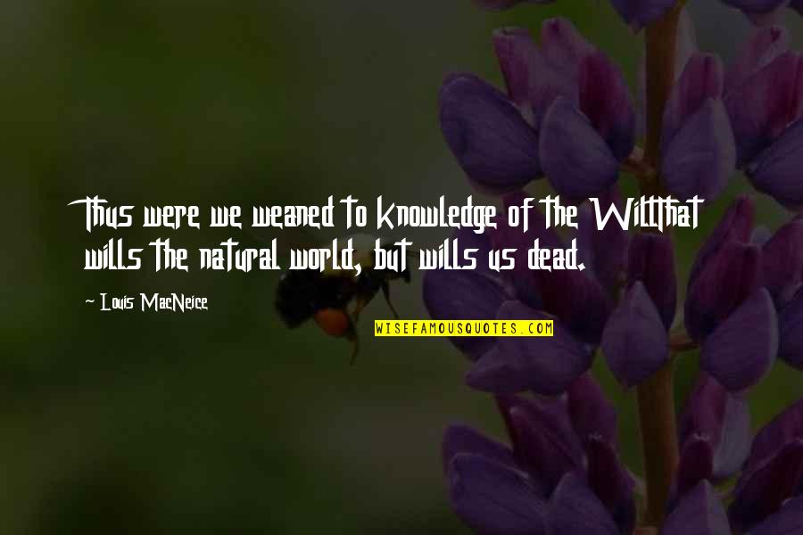 Yvania Bartholomeusz Quotes By Louis MacNeice: Thus were we weaned to knowledge of the Yvania Bartholomeusz Quotes By Louis MacNeice: Thus were we weaned to knowledge of the