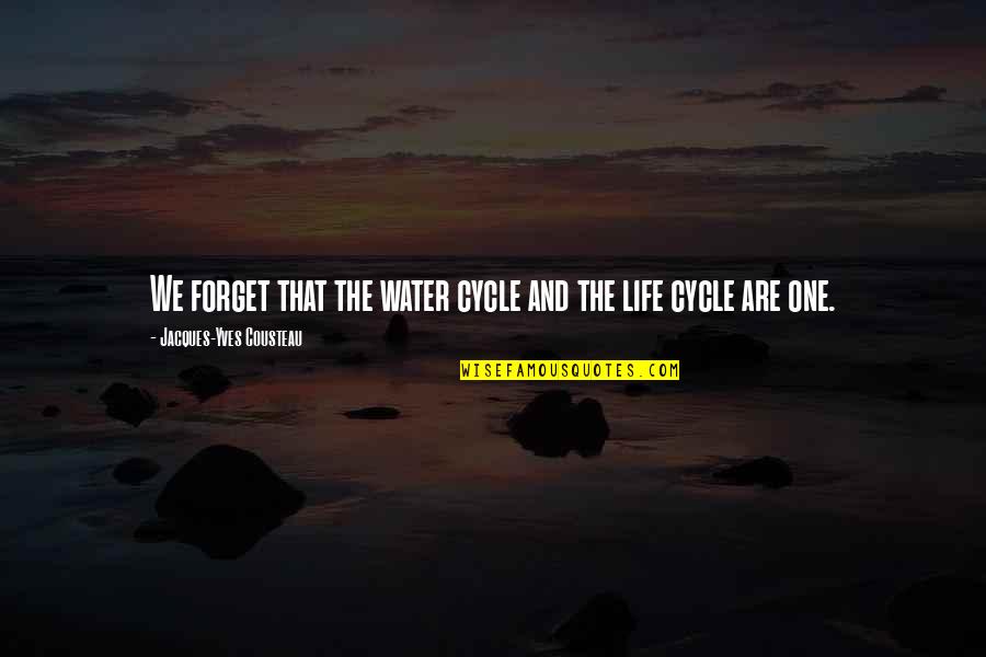 Yves's Quotes By Jacques-Yves Cousteau: We forget that the water cycle and the Yves's Quotes By Jacques-Yves Cousteau: We forget that the water cycle and the