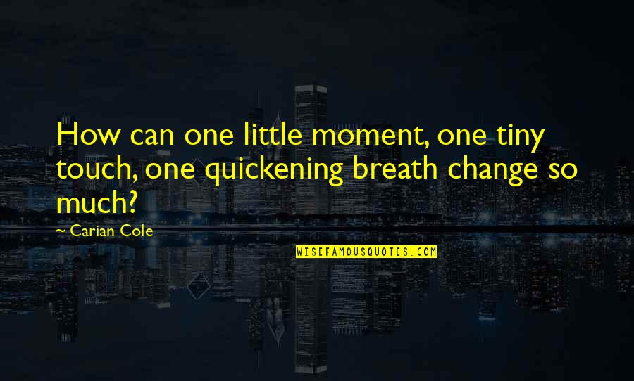 Yvonne Tozzi Quotes By Carian Cole: How can one little moment, one tiny touch,