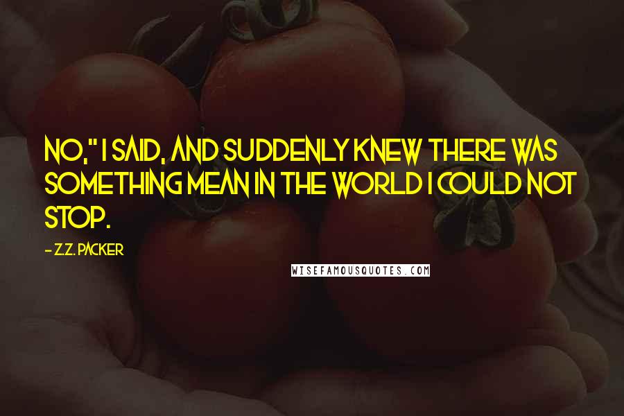 Z.Z. Packer quotes: No," I said, and suddenly knew there was something mean in the world I could not stop.