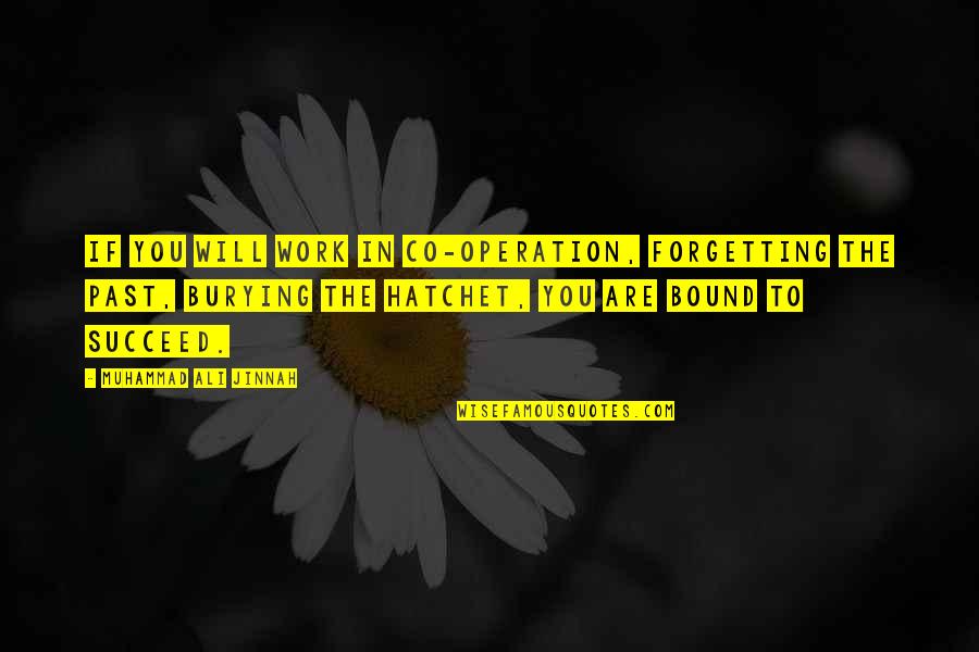 Z400 Quotes By Muhammad Ali Jinnah: If you will work in co-operation, forgetting the Z400 Quotes By Muhammad Ali Jinnah: If you will work in co-operation, forgetting the