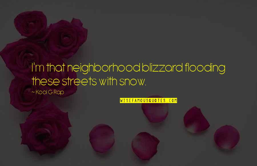 Zaahir Quotes By Kool G Rap: I'm that neighborhood blizzard flooding these streets with