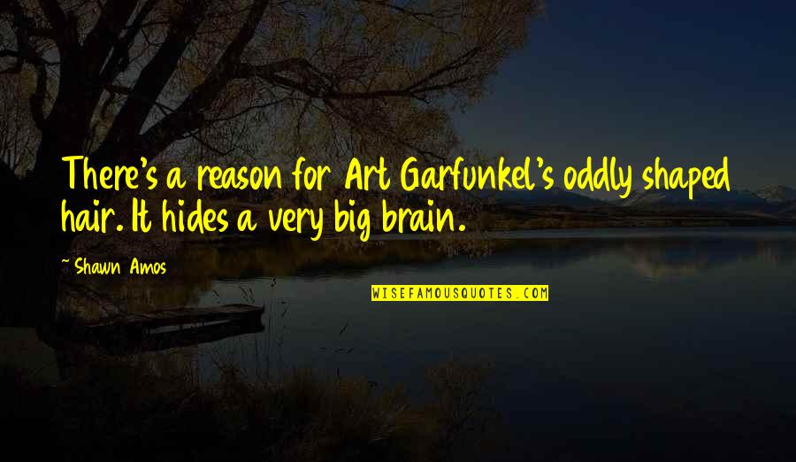 Zaal Noflex Quotes By Shawn Amos: There's a reason for Art Garfunkel's oddly shaped