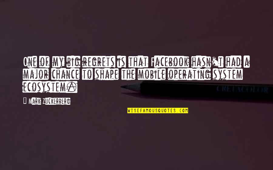 Zaara Vineet Quotes By Mark Zuckerberg: One of my big regrets is that Facebook