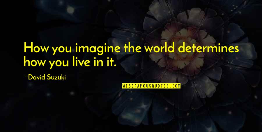Zab Jen Velryb Quotes By David Suzuki: How you imagine the world determines how you Zab Jen Velryb Quotes By David Suzuki: How you imagine the world determines how you