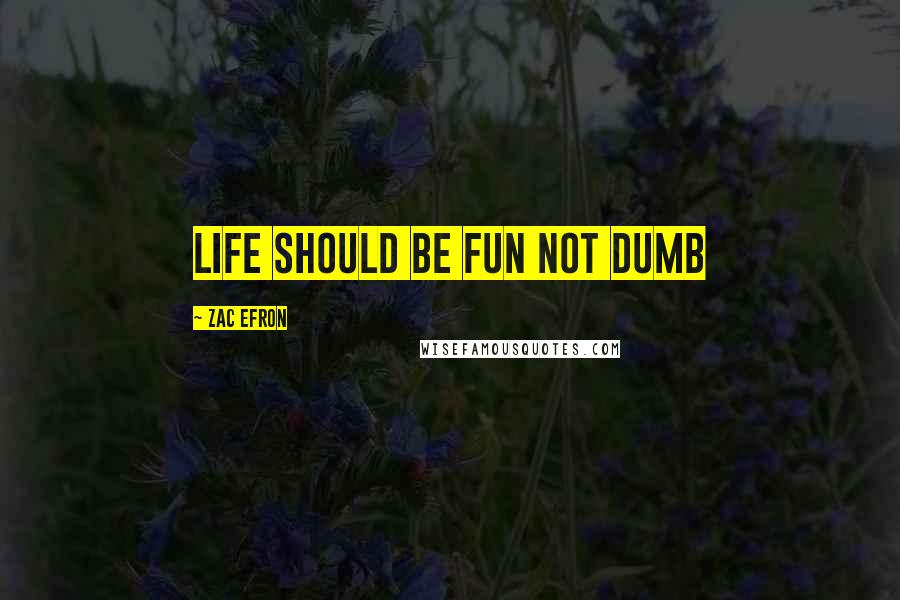 Zac Efron quotes: Life should be fun not dumb