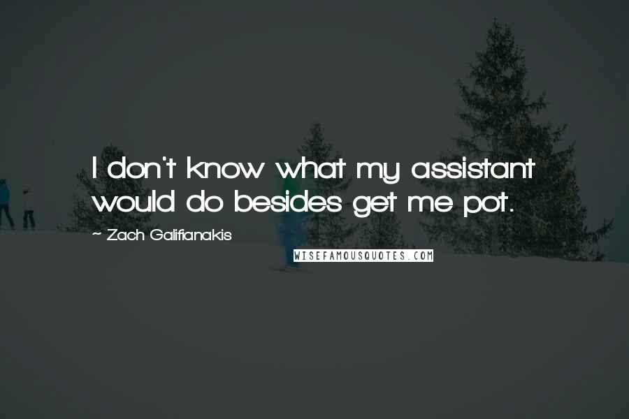 Zach Galifianakis quotes: I don't know what my assistant would do besides get me pot.