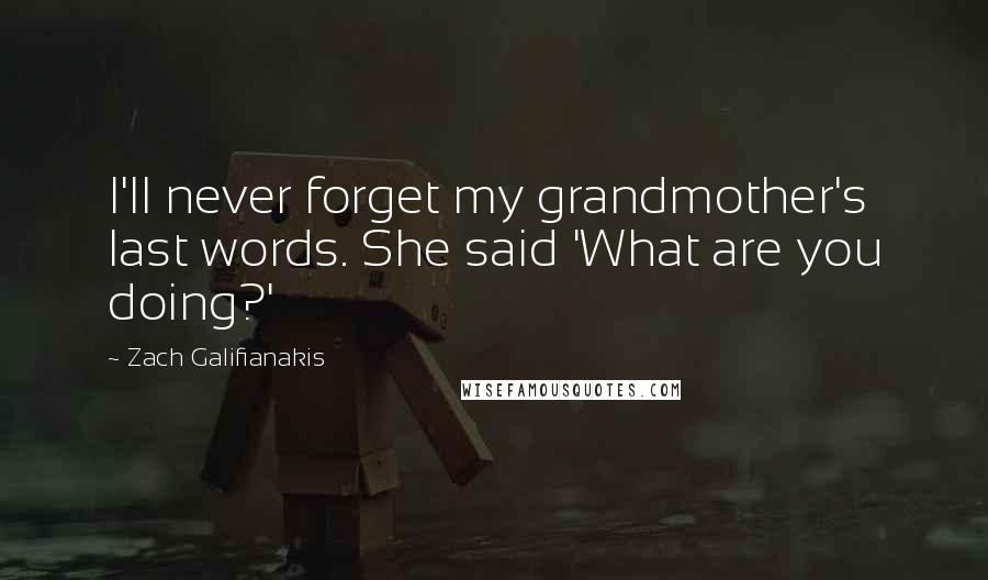 Zach Galifianakis quotes: I'll never forget my grandmother's last words. She said 'What are you doing?'