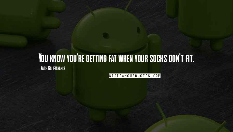 Zach Galifianakis quotes: You know you're getting fat when your socks don't fit.