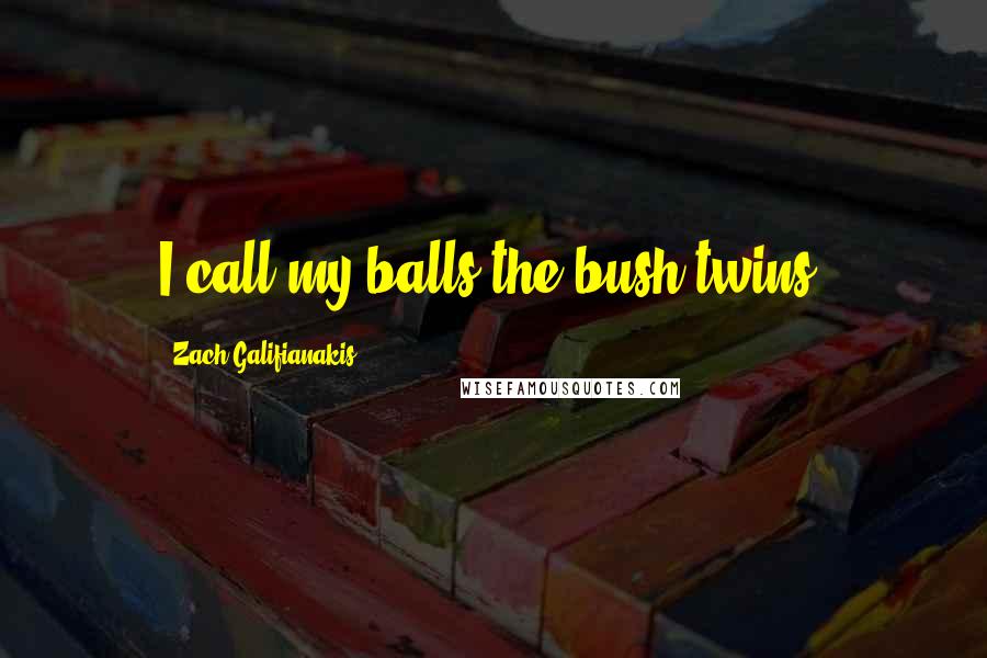 Zach Galifianakis quotes: I call my balls the bush twins.