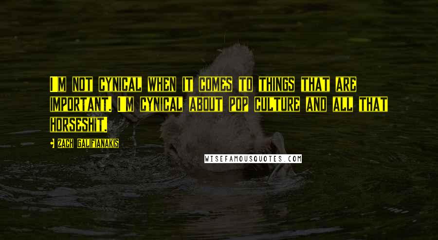 Zach Galifianakis quotes: I'm not cynical when it comes to things that are important. I'm cynical about pop culture and all that horseshit.