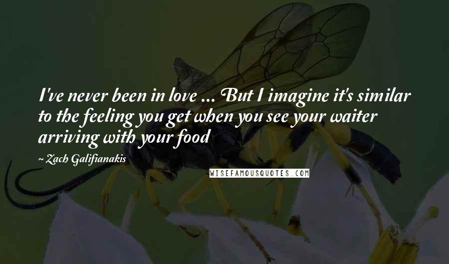 Zach Galifianakis quotes: I've never been in love ... But I imagine it's similar to the feeling you get when you see your waiter arriving with your food